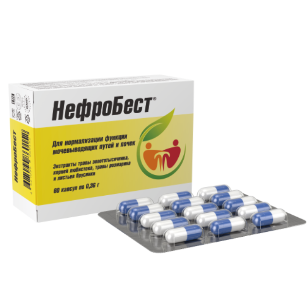 НефроБест капсулы 0,36г №60