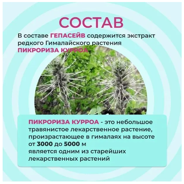 Гепасейв капсулы массой 330мг №30