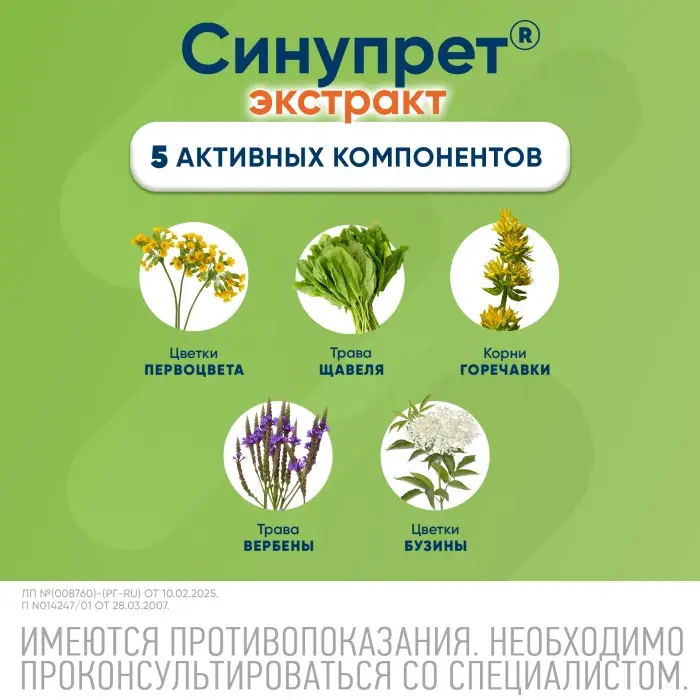 Синупрет экстракт таблетки покрытые оболочкой №20