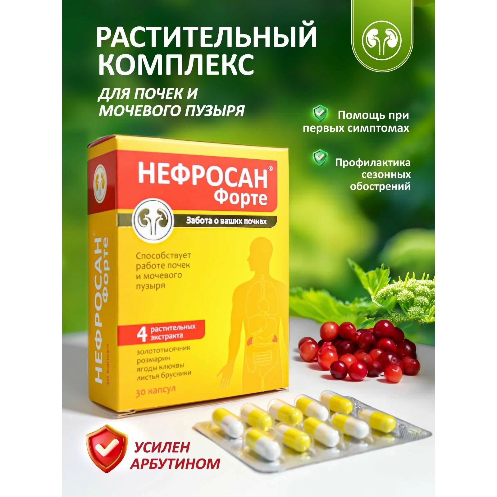 Нефросан Форте капсулы 300мг №30