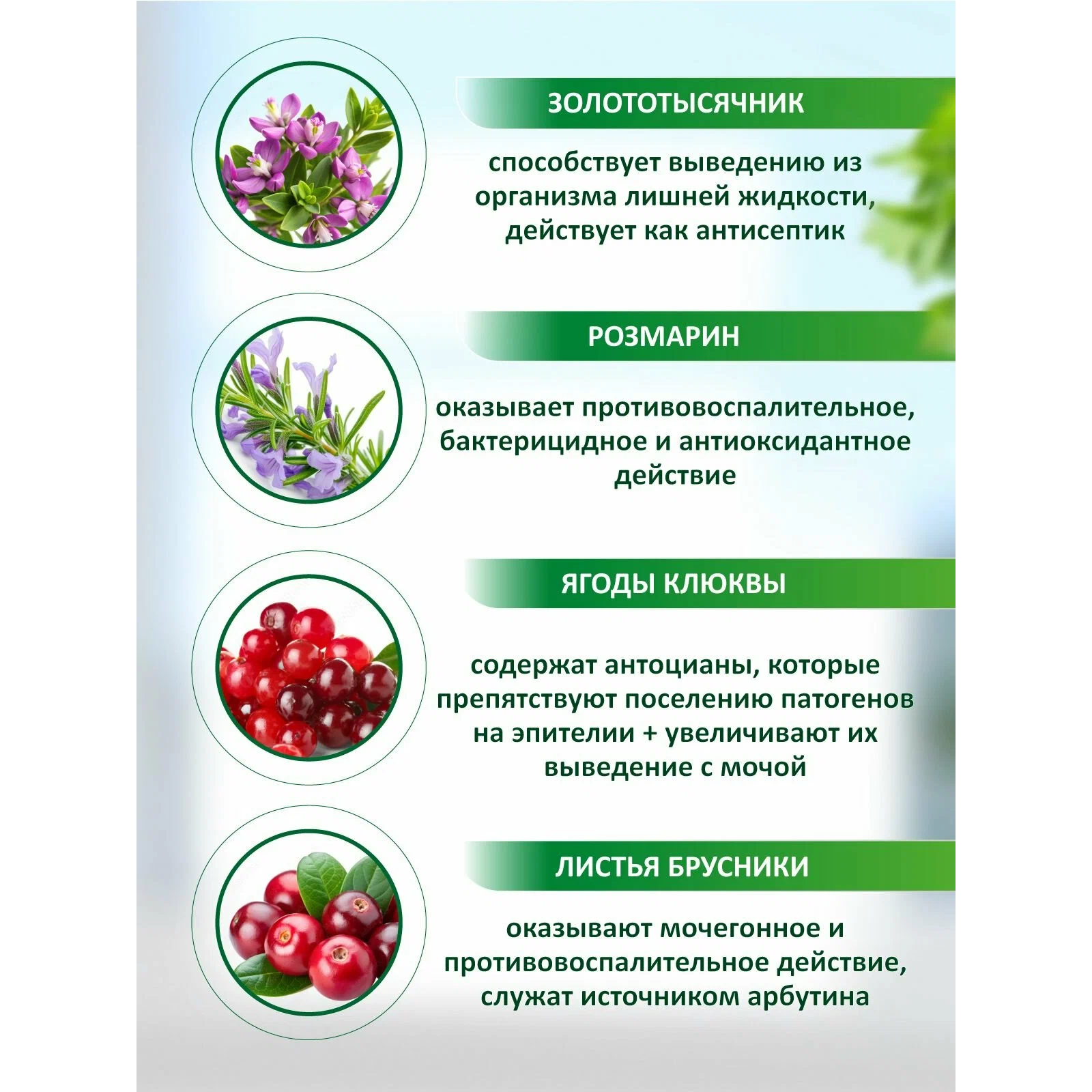 Нефросан Форте капсулы 300мг №30
