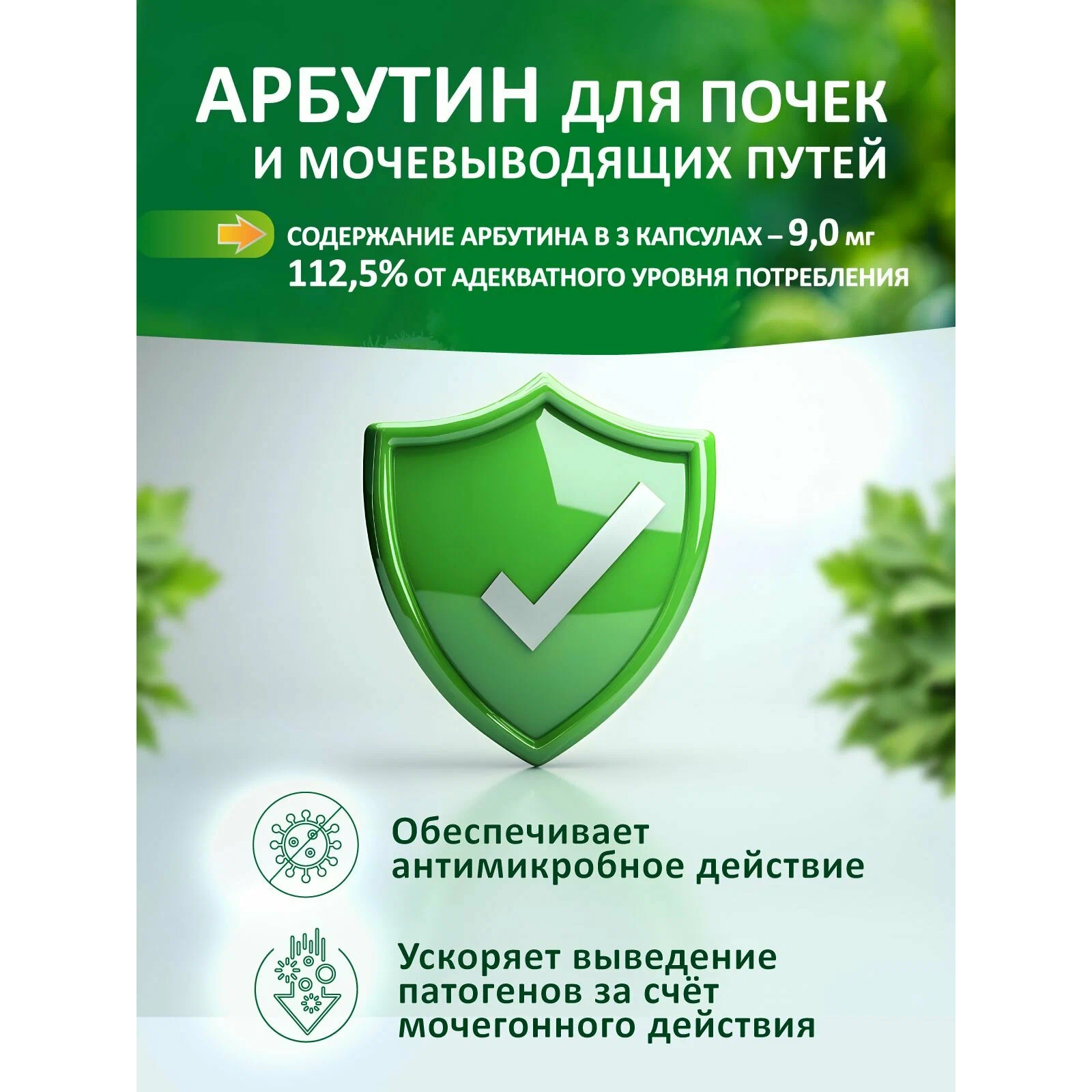 Нефросан Форте капсулы 300мг №30
