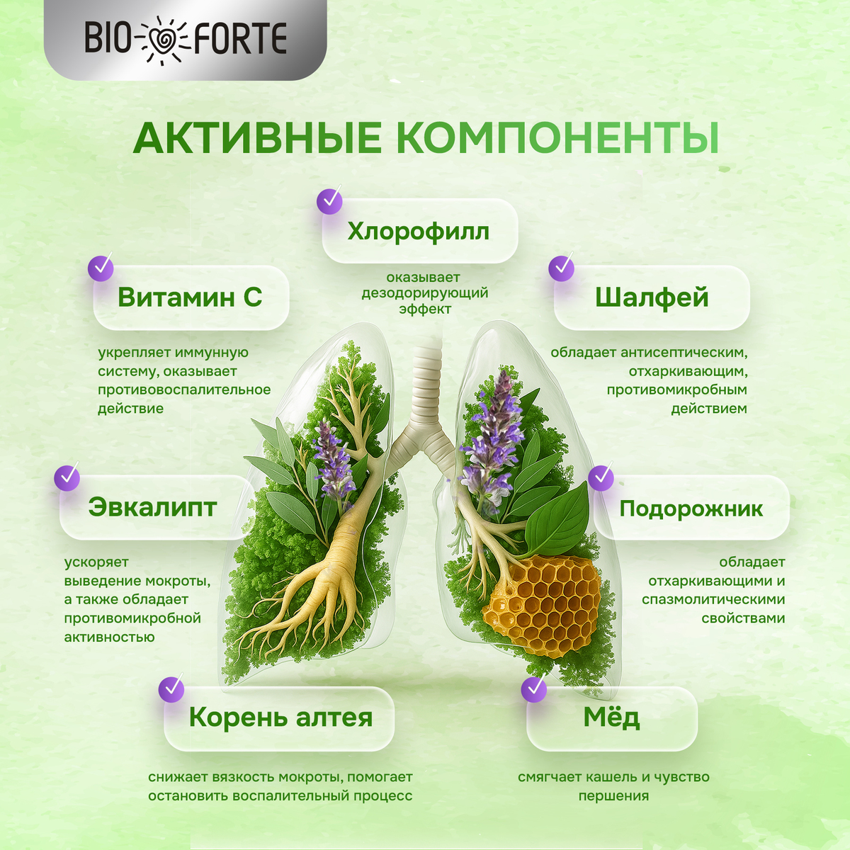 Бронхоцвет BioForte таблетки (шалфей, эвкалипт, мед) №30