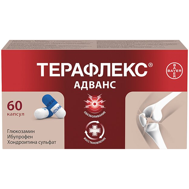 Терафлекс® Адванс капс. 250мг+100мг+200мг №60 фл. и/у