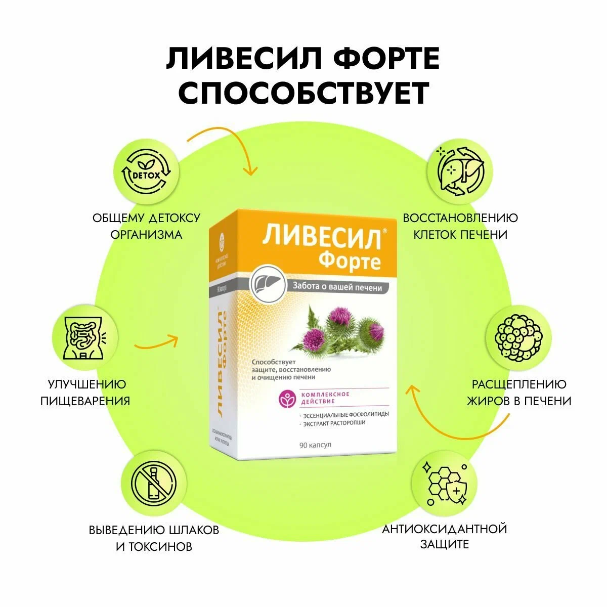 Ливесил форте Эссенциальные фосфолипиды с расторопшей капсулы массой 1000мг №90
