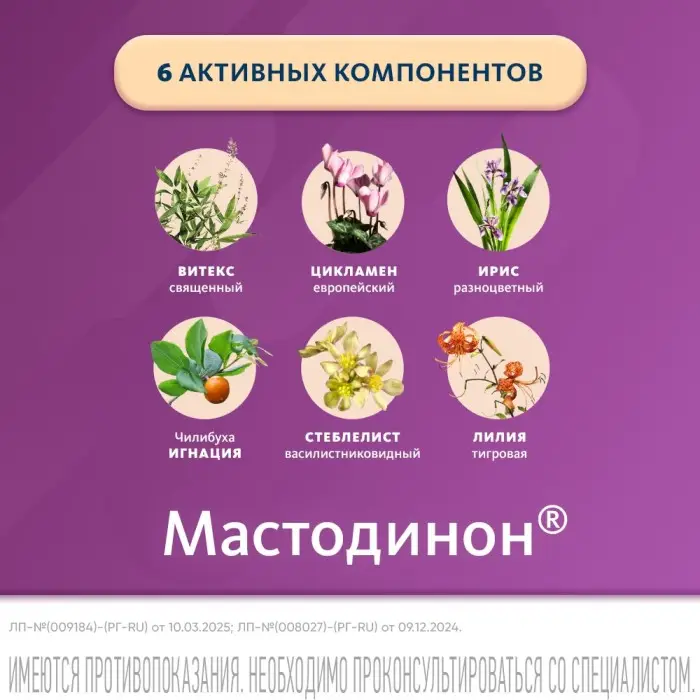 Мастодинон таблетки №120