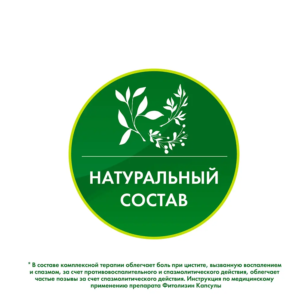 Фитолизин капсулы №40