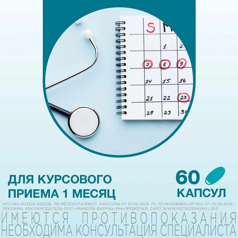 Метеоспазмил капсулы 60мг+300мг №60